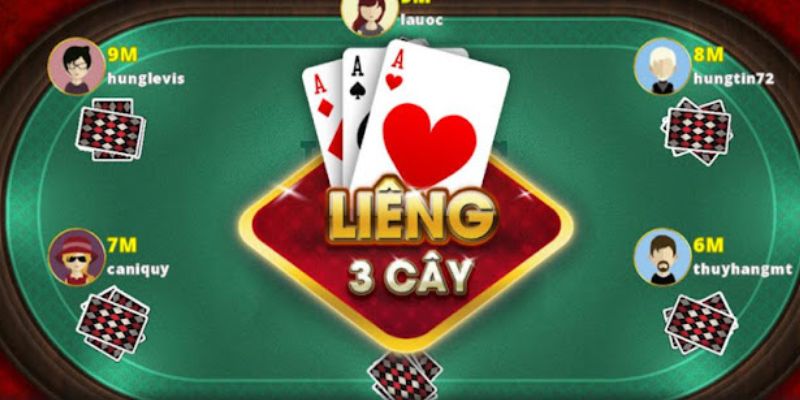 bai-3-cay-abc8-gioi-thieu